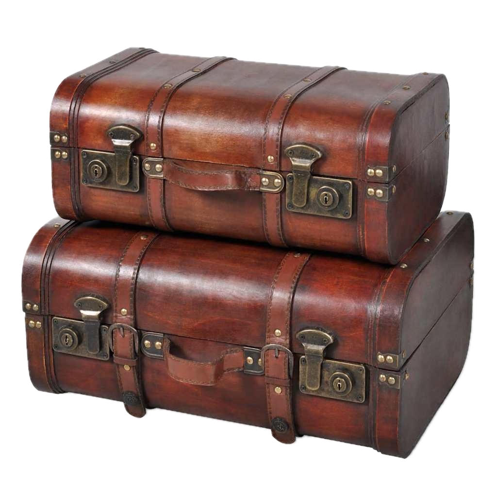 Vintage Luggage Set