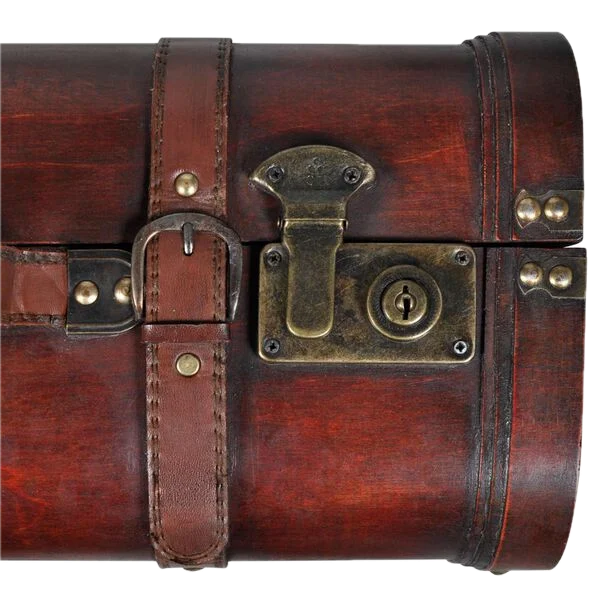 Vintage Luggage Set